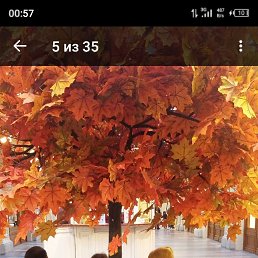 ���� ������, ������, 46 ��� - ��������� 15 ���� 2025