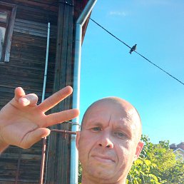 , 41 , 