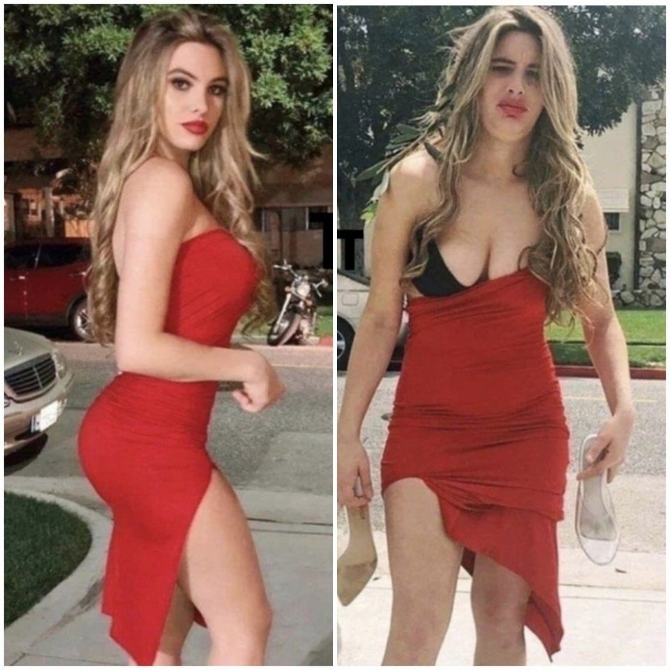 � ����/� �����