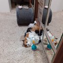 ���� ��� ., �����, 71 ��� - ��������� 3 ������� 2025 � ������ ������ ��������