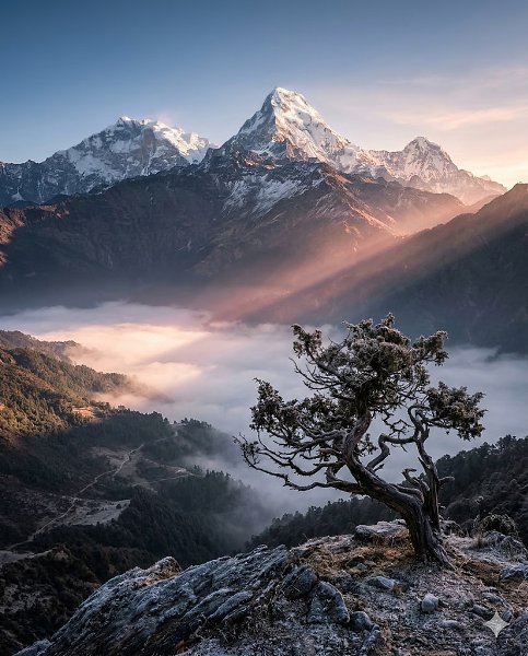 ������ ���������� - 10 ����� 2026 � 08:07 - 6