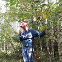 ���� ������, �������, 66 ��� - ��������� 10 ���� 2024 � ������ ���� ����������