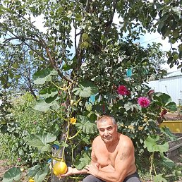 , 55, -