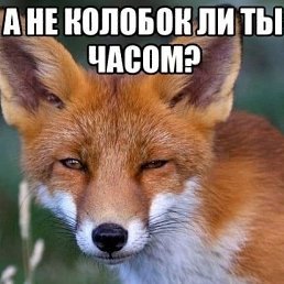 ���� �������, ������, 67 ��� - ��������� 27 ������� 2023