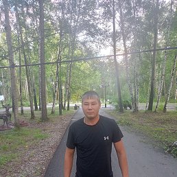 , 33, 
