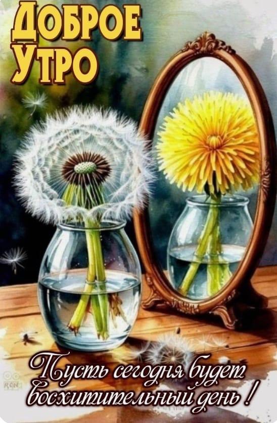 ***Victoria Viktorovna*** - 17  2025  05:37