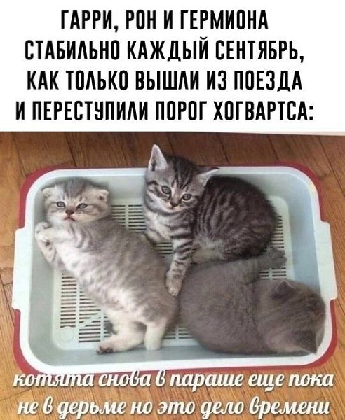 THE DUMP - 2 ������� 2024 � 09:08