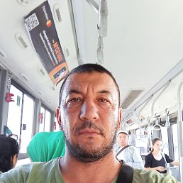 , 40, 