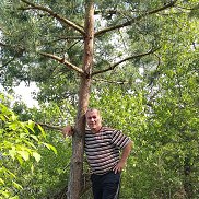 �����, 50 ���, ����