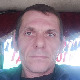 ������, ������, 43 ����