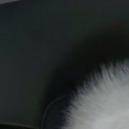 �����, 43 ����, ������