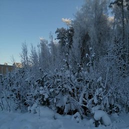 ���� �������, ���������, 65 ��� - ��������� 2 ������� 2026