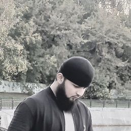 ��� ���, ������, 37 ���