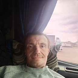 �����, 41 ���, ���������