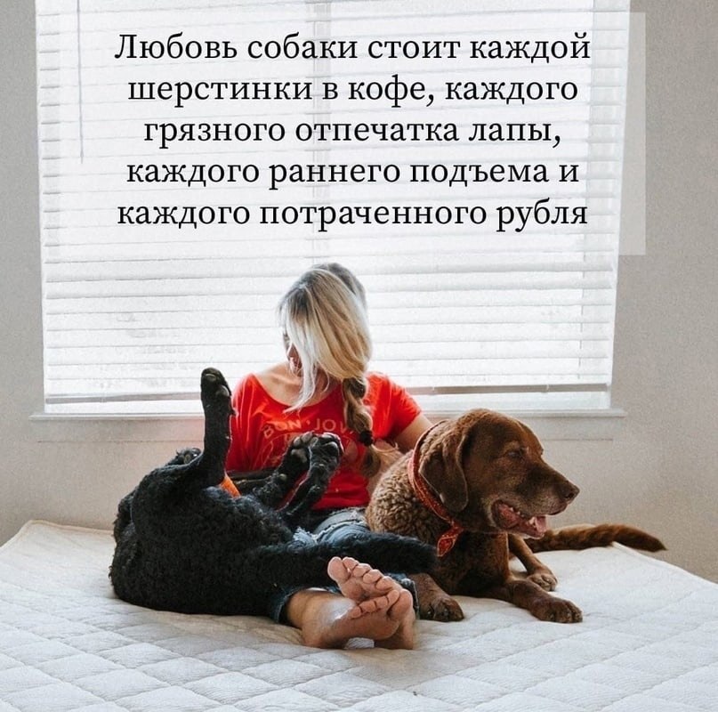 � ���� �� ���������