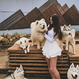 ���������, ������, 26 ���