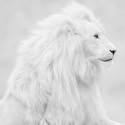 ���� Aleksandr, ������, 33 ���� - ��������� 19 ������� 2025