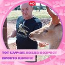 ���� Raev, ������, 60 ��� - ��������� 22 ������ 2025 � ������ ���� ����������