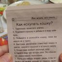 ���� Vlad, �������, 41 ��� - ��������� 12 �������� 2024 � ������ ���� ����������