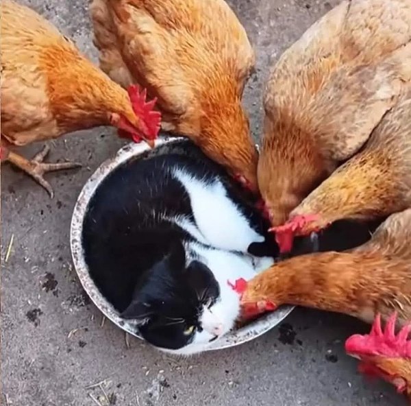 �� ������, �� ���������� - 4