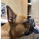  , -, 46  -  17  2025    