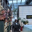 ���� �����, ������, 52 ���� - ��������� 7 ������� 2026 � ������ ���� ����������
