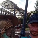 ���� ���������, �����, 42 ���� - ��������� 29 ����� 2026