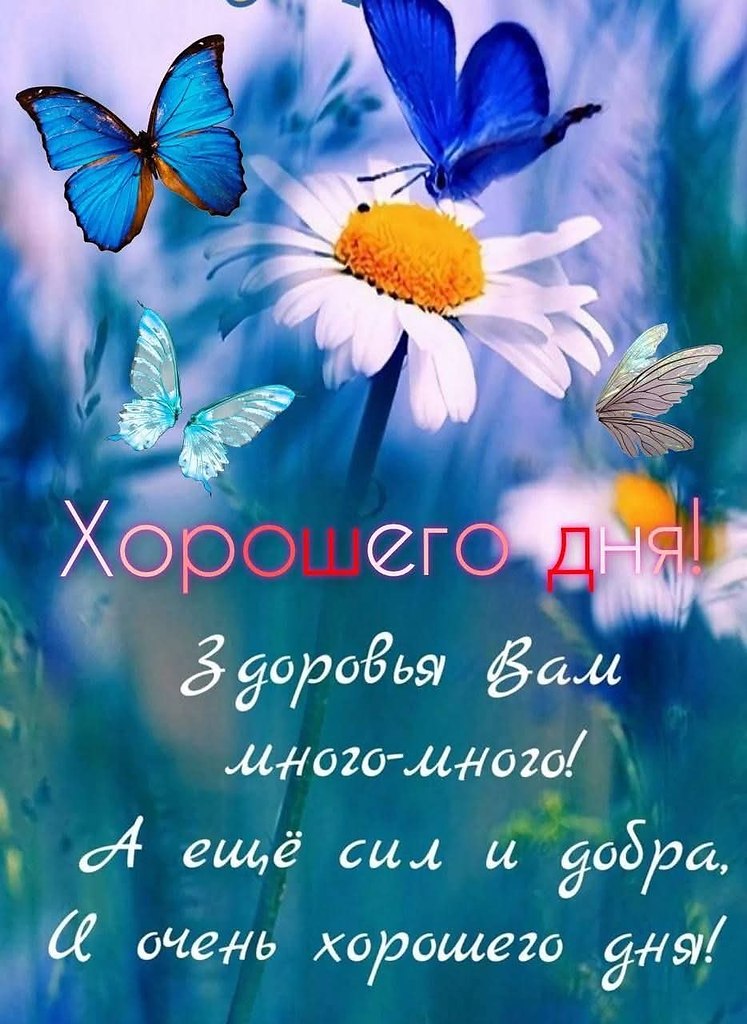   - 10  2025  08:51