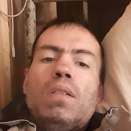 ����, ������, 43 ����