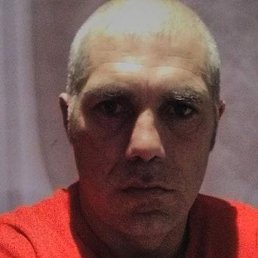 �������, ������, 46 ���