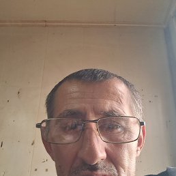 , 51 , 
