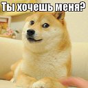 ���� ��������, �����-���������, 19 ��� - ��������� 6 ����� 2025 � ������ ���� ����������