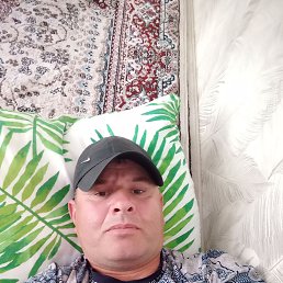 ����, 46 ���, ����