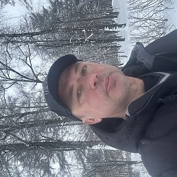 ������, �����, 51 ���