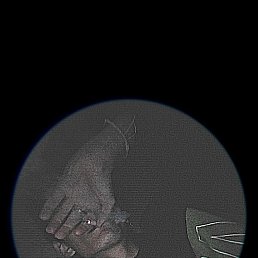  , , 19  -  22  2024