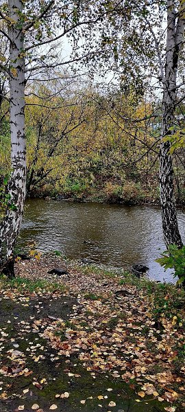 ���������, ���� �������... - 3