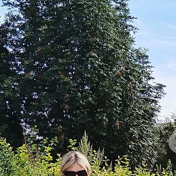 ������, �����������