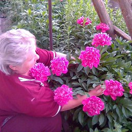 ���� �����, ������, 65 ��� - ��������� 25 ������� 2023