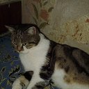 ���� �����, ��������, 32 ���� - ��������� 26 ������� 2024 � ������ ���� ����������