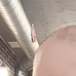 �������, �����������, 40 ���