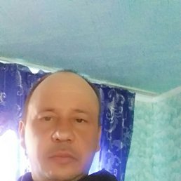 , 41, 
