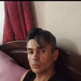 , 44, 