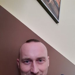 ���� ���������, �����, 41 ��� - ��������� 26 ������ 2024