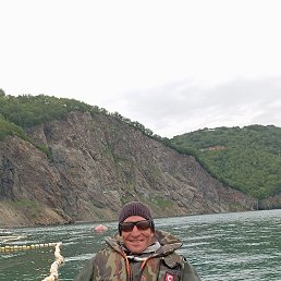 ����, 41 ���, �������