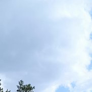 ����������, 67 ���, ������