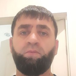 ������, ������, 44 ����