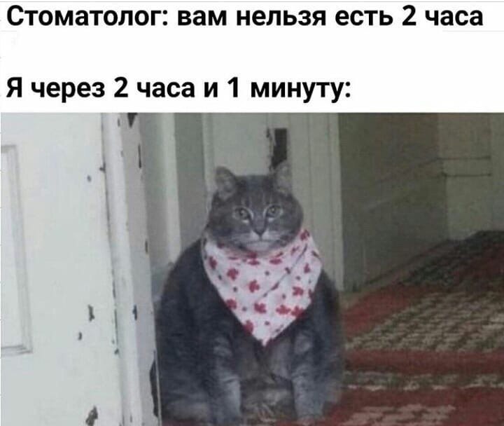    - 29  2023  17:39