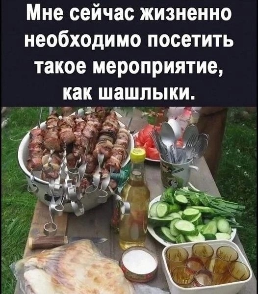  - 8  2024  09:59