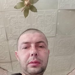 ���� ������, �����, 40 ��� - ��������� 26 ������� 2026