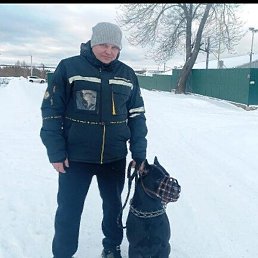 ����, ���������, 37 ���